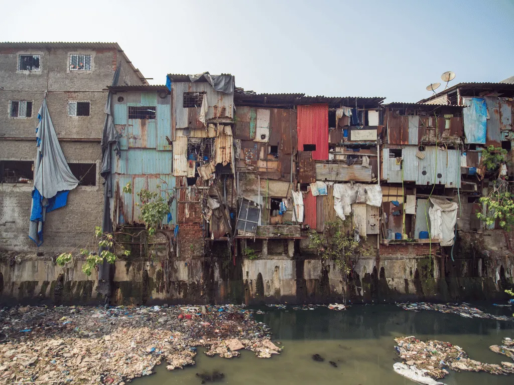 NGO gallery image 7